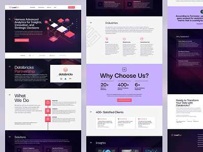 LoadSys Homepage Web Design agency branding data design dev development interface ui ux web