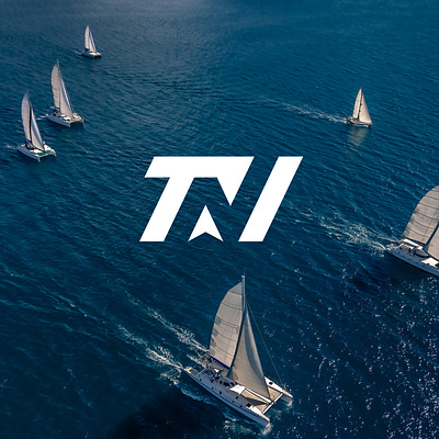 True North branding illustration logo