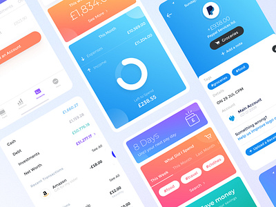 Financial stability mobile application app branding design ui ux