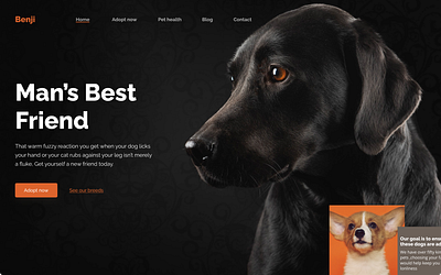 Pet adoption hero page heropage minimal design minimaldesign pet adoption app pet landing page uidesign