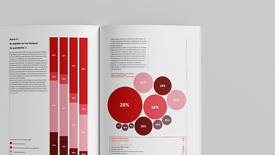 Visualización de datos branding design graphic design gráficos illustration impresión libro vector