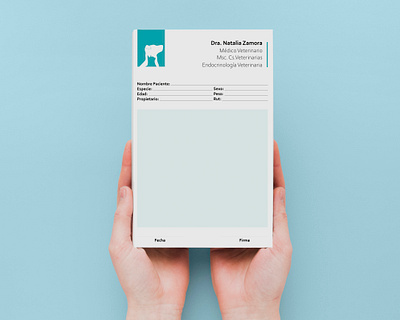 VET LINE branding design graphic design icon logo vector vet vetrecipe
