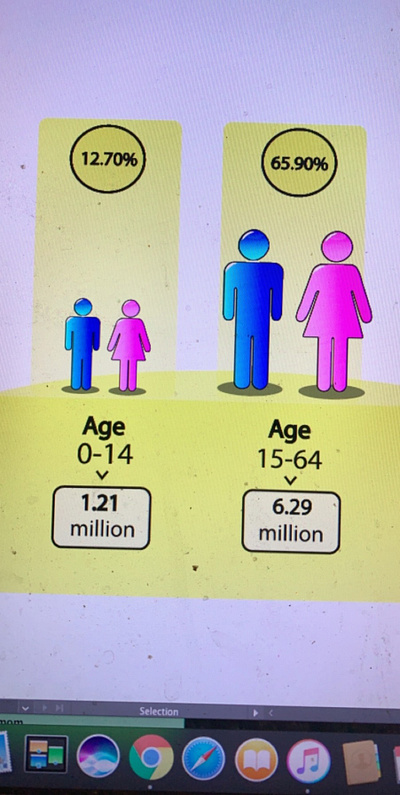 census graphics census graphic design vector