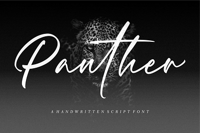 Panther – Handwritten Script Font branding graphic design headline logo