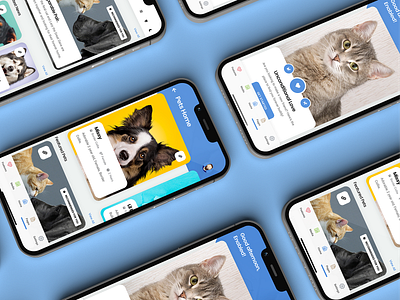 Azures Mobile | Pet App Template - Mobile Kit and PWA app cat cat app daily ui dog dog app furry friends ios iphone mobile pet app pet app design pet app template pet application pet shop pet website pet website template ui ui ux