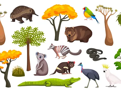 Australian fauna flora set australian fauna flat flora illustration vector