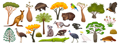 Australian fauna flora set australian fauna flat flora illustration vector