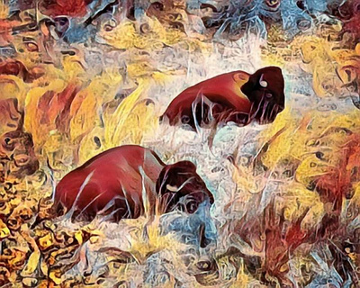 Tatanka graphic design