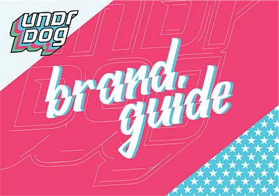 Undrdog Brand Guide american brand book brand guide brand guidelines brand identity branding business car color colors creative ecommerce label logo logo design merchendise packaging typography vector visual identity