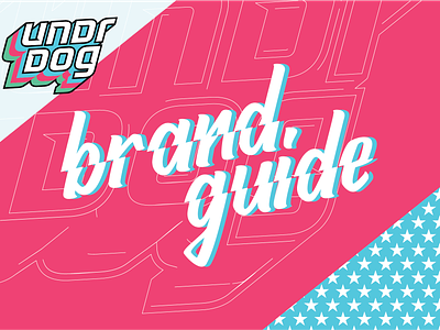 Undrdog Brand Guide american brand book brand guide brand guidelines brand identity branding business car color colors creative ecommerce label logo logo design merchendise packaging typography vector visual identity