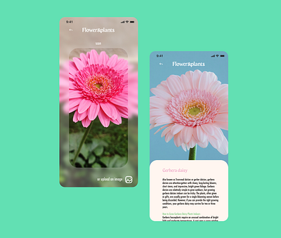 Flower&Plants app branding color design designer designs logo spring ui