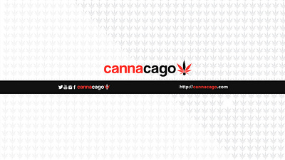 Logo brand branding design logo logo design minimalistic