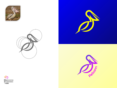 Pelican 3d animal logo animation app branding colorfull design graphic design illustration logo motion graphics ui wildlife