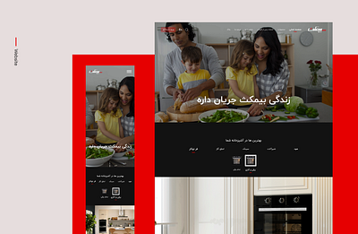 Home Page Bimax website design ui