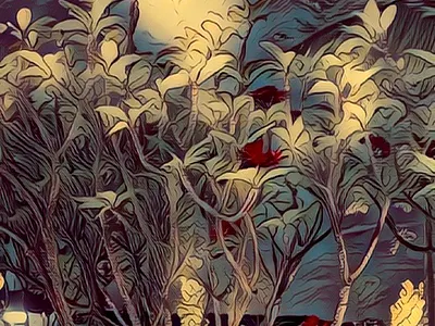 A Night That Changed My Life