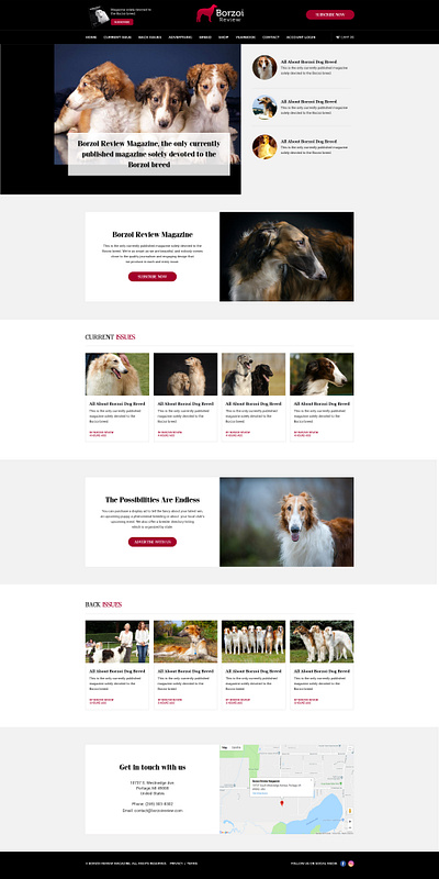 Borzoi - E Commerce Design & Development adobe photoshop branding e commerce figma responsive ui ux web design wordpress