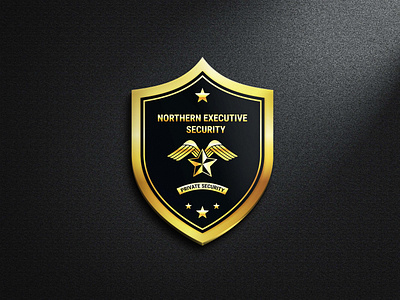NORTHERN EXECUTIVE SECURITY 3d branding graphic design logo ui