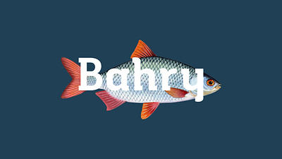 Bahry - Seafood Restaurant 3d animation branding graphic design logo motion graphics