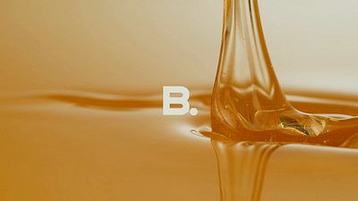 B.Solution Branding & Identity Development branding design graphic design identity layout logo motion graphics portfolio typography video