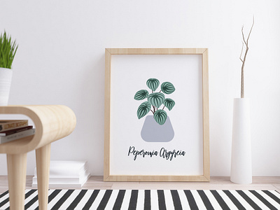 Watermelon Peperomia Plant Illustration daily ui house plant illustrated plant illustration interior design minimalistic modern plant plant art plant decor plant illustration plant poster plant print ui watermelon peperomia