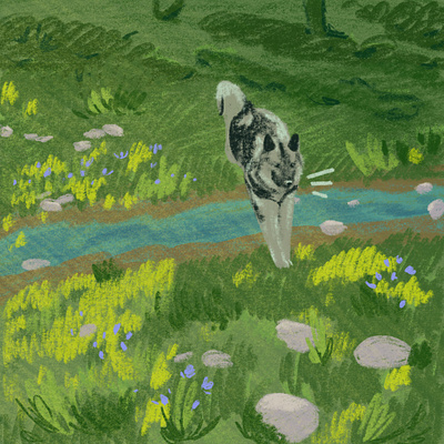 puppy hop creek dog flowers grass nature outside pond puppy spring