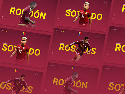 La Vinotinto Venezuela National Team animation app app design apparel brand design illustration logo ui ux venezuela