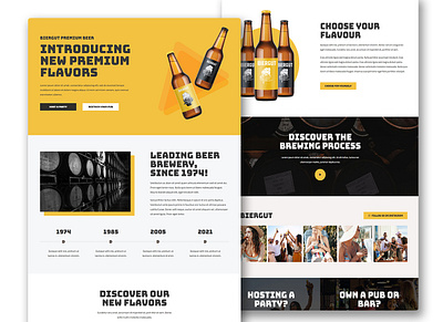 Beer Launch Landing Page business website coffee shop website elementor landing page restaurant website shopify website design wordpress website