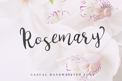 Rosemary social media