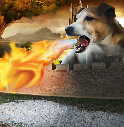 Medieval Dog Experience design dog illustration photoshop