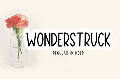 WONDERSTRUCK - SANS SERIF FONT animation branding calligraphy design display fonts elegant font graphic design hand lettering fonts handlettering handwriting fonts illustration lettermark letters logo logo fonts motion graphics sans serif fonts ui vector