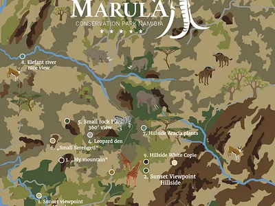 Namibian Conservation Park vector map african animals animals camouflage camouflaged hotelindustry illustration landscape map illustration minimal nature print schematic typography vector vector map
