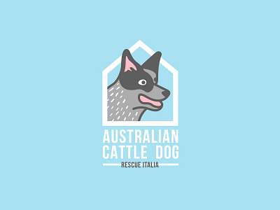 Australian Cattle Dog Rescue Italia acd australian blue cattle dog heeler italia pet rescue