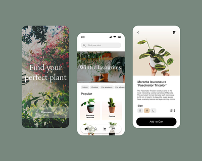 Daily UI: 012 - E-Commerce Shop add to cart app application buy dailyui design e commerce figma plant plant app plant shop shop store ui uiux ux