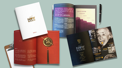 Creative Career Insurance Company Booklet booklet brand identity branding comany creative illustration insurance