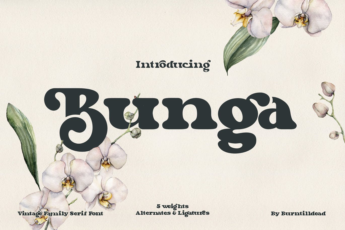 Bunga - Retro Inspired Font app bold font branding design display font graphic design illustration logo retro serif typeface typography ui ux vector vintage