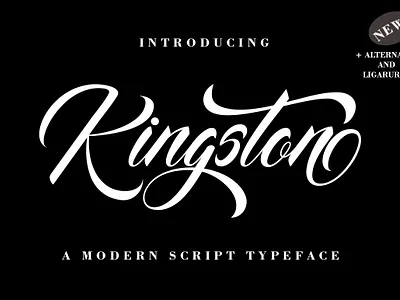 Kingston branding design elegant font graphic design illustration lettering logo modern typography