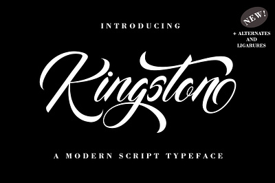 Kingston branding design elegant font graphic design illustration lettering logo modern typography
