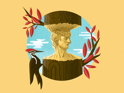 💀🎨 Animal Kingdom 05 animal animal kingdom artist bird cute david dead art design fly illustration peck playful statue of david texture tree vignette wood woodpecker