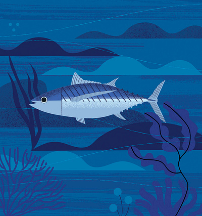 Sea Life albacore blue digital illustration fish illustration packaging illustration sea life seaweed underwater