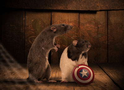 NUMBER ONE FAN art artist artwork avengers branding captainamerica design designer graphicdesign image logo marvel mice photomanipulation photoshop photoshop art