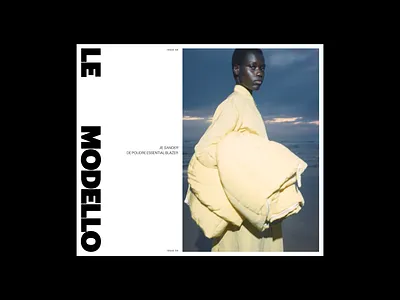 Le Modello presentation