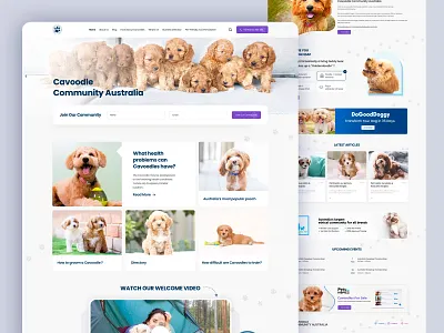 Pet Community Website adobe xd australia care cavoodle community design dog pet technopark trivandrum ui ux webdesign