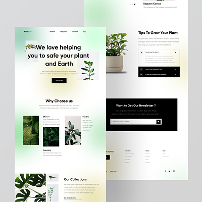 Plant Go 🌿 - Plant Landing page clean design e commerce hero landing page plant plant website ui ui design uiux ux web web design website website design