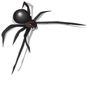 spyder vector bug graphic design illustration insect spider vector