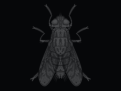 THE FLY - T-shirt adobe adobe illustrator apparel artist artwork bug clothing creative dark detail entomology fly illustration illustrator insect store the fly tshirt vector