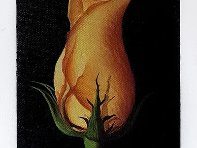 Rose acrylicpainting acrylicpaints artist digital illustration illustrator painting paintingoncanvas paintings realistic semirealistic traditionalart traditionalartist