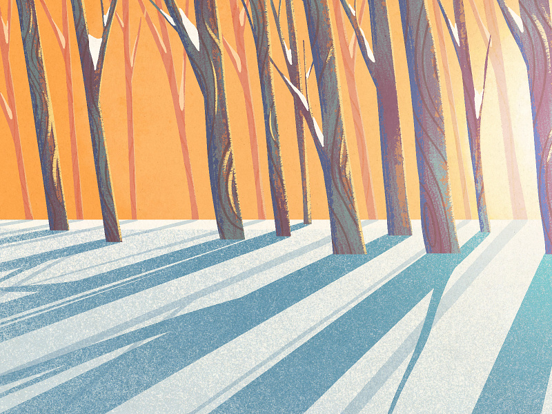 Apricity 2d alcohol beer bottle branding can cider digital painting illustration ipad pro label package packaging procreate shadows snow sunlight trees winter woods