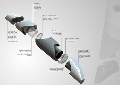 AquaWhale 3d