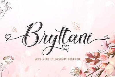 Bryttani Font Trio branding graphic design logo