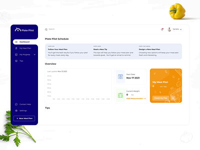 Plate Pilot: Web UI/UX for Healthcare website animation dashboard design diet food healthcare interface motion motion graphics plan statistic ui ux web web design website